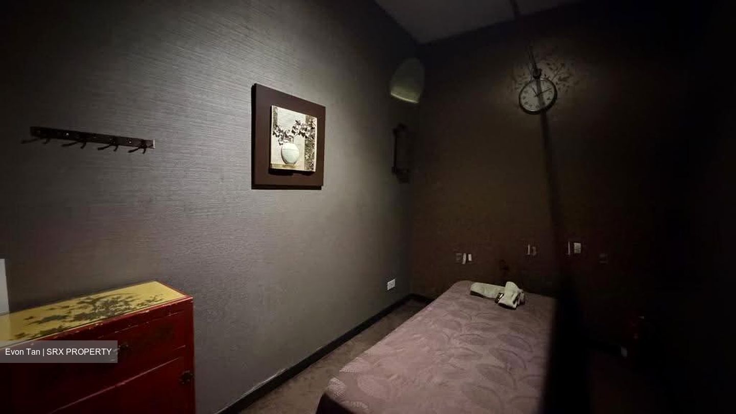 Telok Ayer Conservation Area (D1), Shop House #611945561